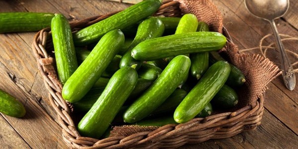 تصویر 5 از خرید و قیمت خیار سبز تازه + فروش صادراتی